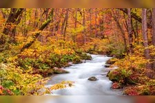 Tourist destination images of Oirase Stream(1)