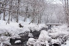 Tourist destination images of Oirase Stream(5)