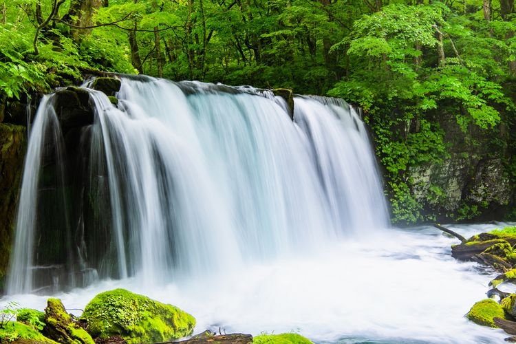 Tourist destination images of Oirase Stream(6)