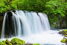 Tourist destination images of Oirase Stream(6)
