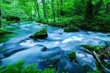 Tourist destination images of Oirase Stream(4)