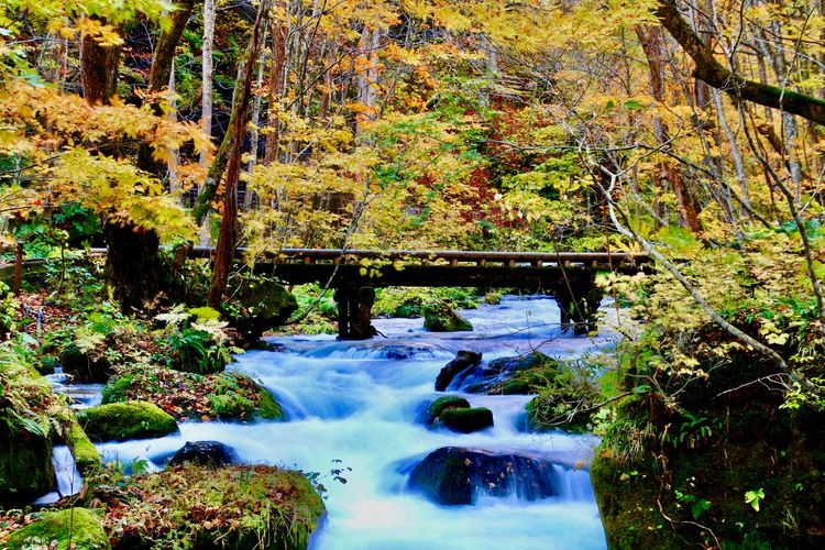 Tourist destination images of Oirase Stream(2)