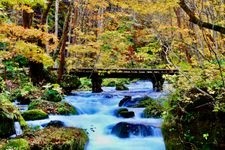 Tourist destination images of Oirase Stream(2)