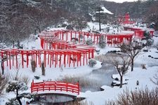 高山稲荷神社の観光地画像(2)