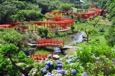 高山稲荷神社の観光地画像(3)