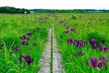 Tourist destination images of Bense Marsh(2)