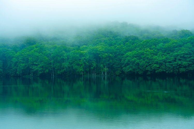 Tsutanuma Seven Lakes