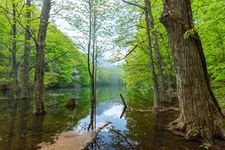 Tourist destination images of Tsutanuma Seven Lakes(3)