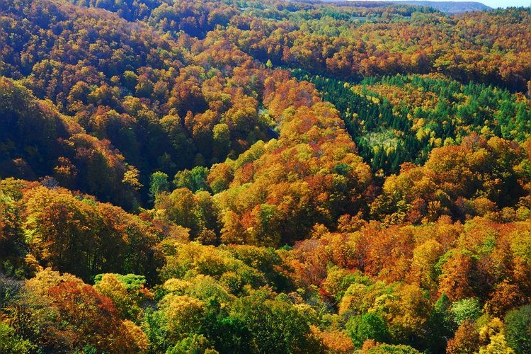 Hakkoda Mountains