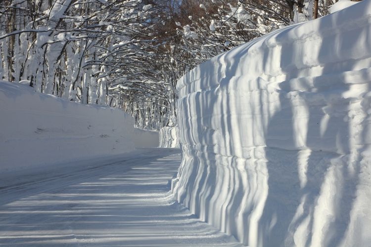 Hakkoda Snow Corridor