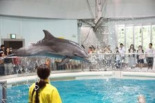 Tourist destination images of Aomori Prefectural Asamushi Aquarium(2)