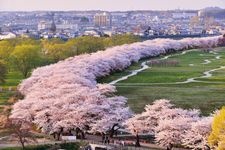 Tourist destination images of Kitakami Tenshochi(2)