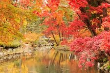 Tourist destination images of Morioka Castle Ruins Park (Iwate Park)(1)