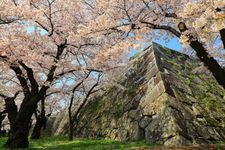 Tourist destination images of Morioka Castle Ruins Park (Iwate Park)(4)