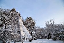 Tourist destination images of Morioka Castle Ruins Park (Iwate Park)(5)