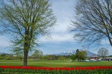 Tourist destination images of Koiwai Farm(4)