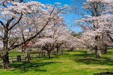 Tourist destination images of Koiwai Farm(5)