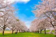 Tourist destination images of Mizusawa Racecourse(1)