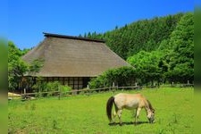 Tourist destination images of Tonosato Furusato Village(2)