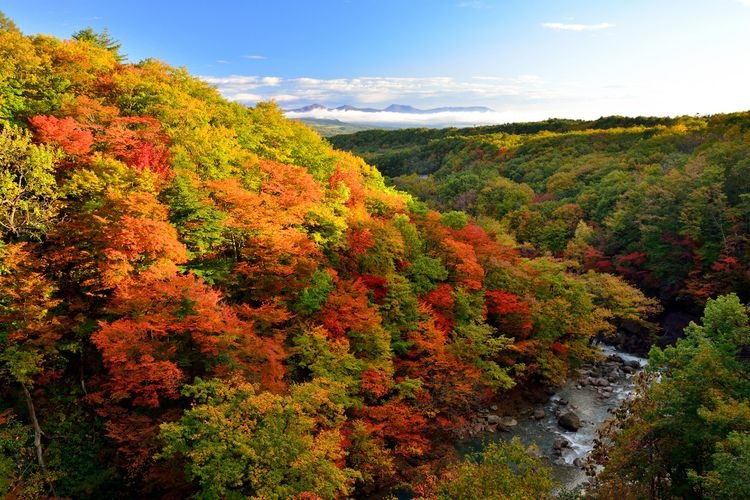 Matsukawa Gorge