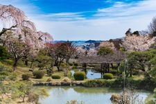 鹽竈神社/志波彦神社の観光地画像(2)