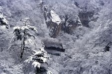 鳴子峡の観光地画像(5)