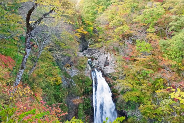 Tourist destination images of Akiu Otaki Waterfall(3)