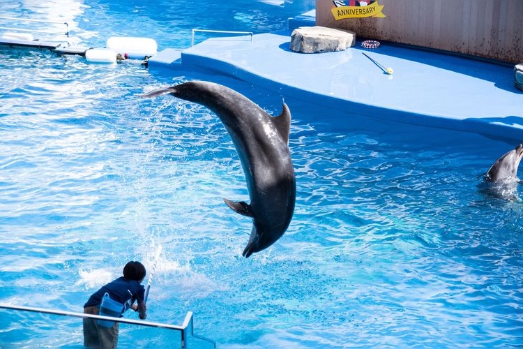 Sendai Uminomori Aquarium