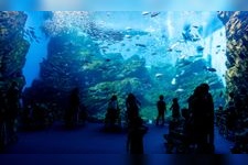 Tourist destination images of Sendai Uminomori Aquarium(2)