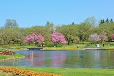 国営みちのく杜の湖畔公園の観光地画像(3)