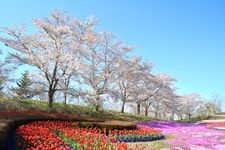 国営みちのく杜の湖畔公園の観光地画像(6)