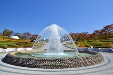 国営みちのく杜の湖畔公園の観光地画像(7)