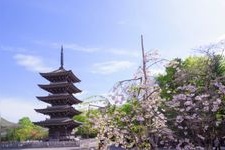 Tourist destination images of Jyogge Nyorai Saihoji Temple(1)