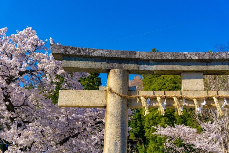 Tourist destination images of Sendai Toshogu Shrine(3)