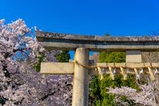 Tourist destination images of Sendai Toshogu Shrine(3)