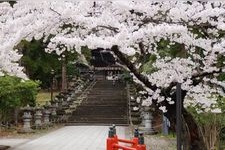 仙台東照宮の観光地画像(1)