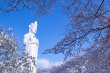 Tourist destination images of Funoka Castle Ruins Park(1)