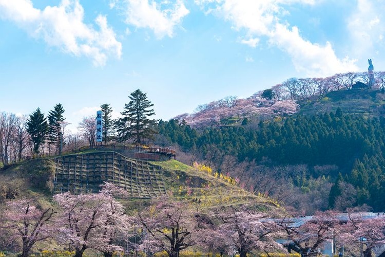 船岡城址公園