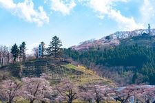 Tourist destination images of Funoka Castle Ruins Park(1)