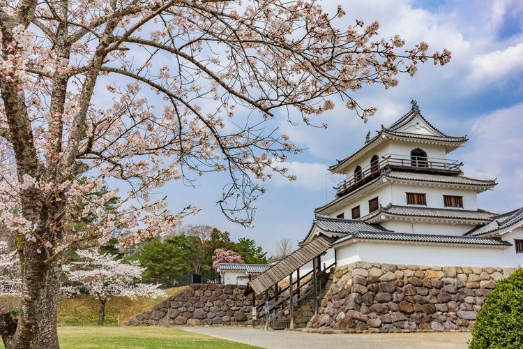 Shiroishi Castle