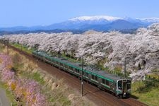 Tourist destination images of Shiroishi Riverbank, Hitome Senbonzakura (Thousand Cherry Trees at a Glance)(3)