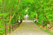 Tourist destination images of Rinno-ji Temple(1)