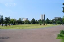 榴岡公園の観光地画像(5)