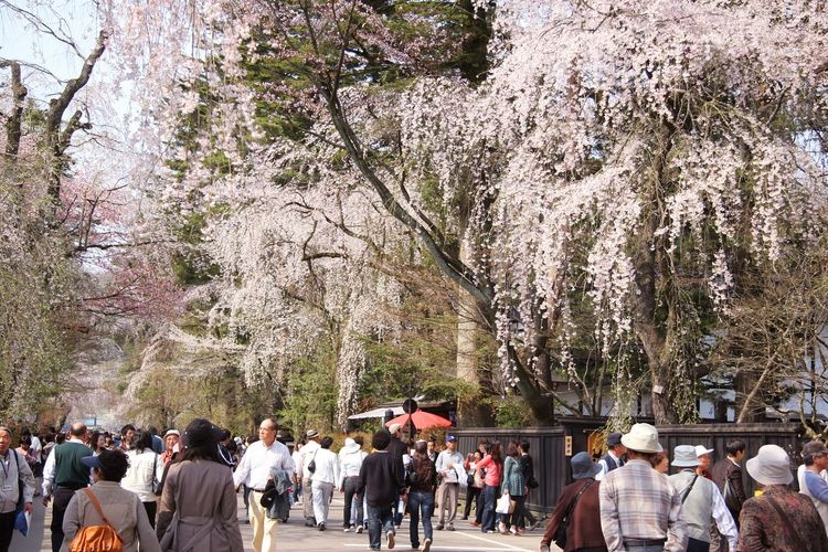 角館（伝統的建造物群保存地区）