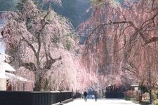 Tourist destination images of Kakunodate-machi(2)