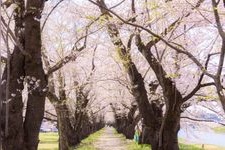 Tourist destination images of Hinokiuchi River(4)