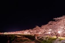 Tourist destination images of Hinokiuchi River(2)