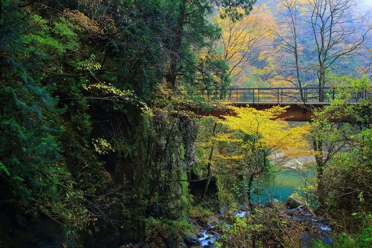 Dakigaeri Valley