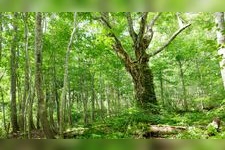 Tourist destination images of Gakudai Nature Observation and Education Forest(3)