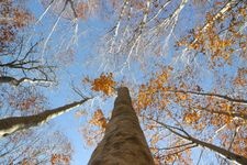 Tourist destination images of Gakudai Nature Observation and Education Forest(2)